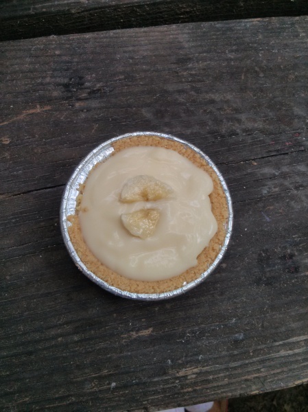 Banana cream pie with flavoured yoghurt, banana slices and a readymade Graham cracker crust